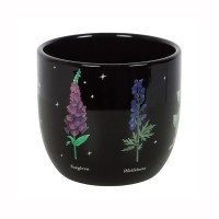 Planter - Library of poisonous plants