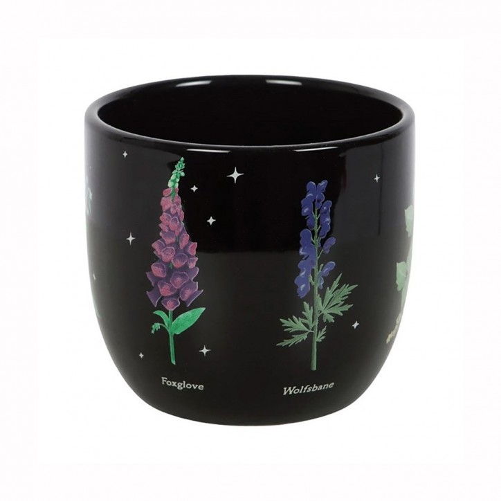 Planter - Library of poisonous plants