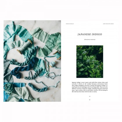 Livre - Dyeing naturally