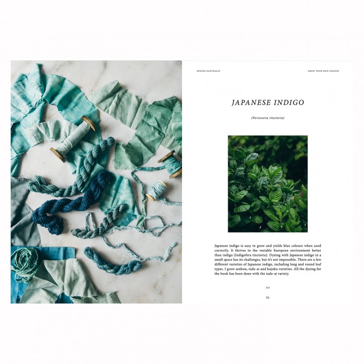 Livre Dyeing naturally - Emma Kylmälä