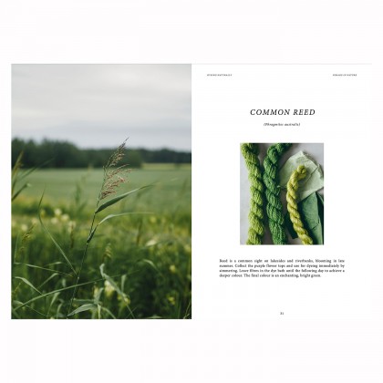 Livre - Dyeing naturally