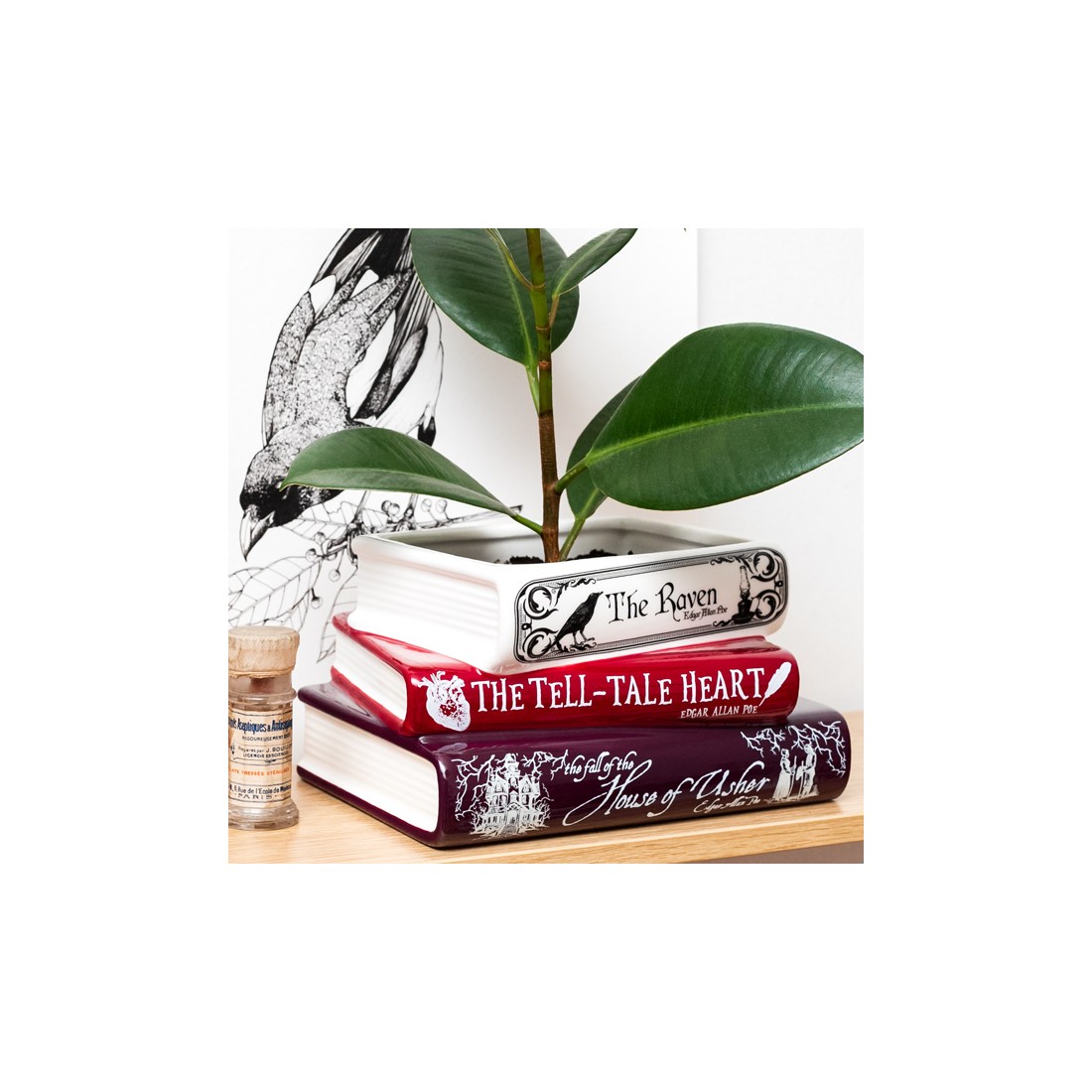 Cache-pot livres - Edgar Allan Poe The Raven