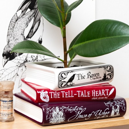 Stacked book planter - Edgar Allan Poe The Raven