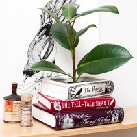 Cache-pot livres - Edgar Allan Poe The Raven