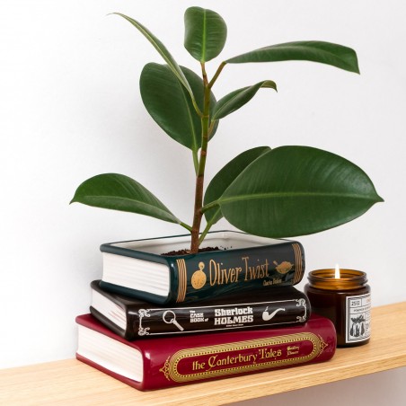 Stacked book planter - English classics