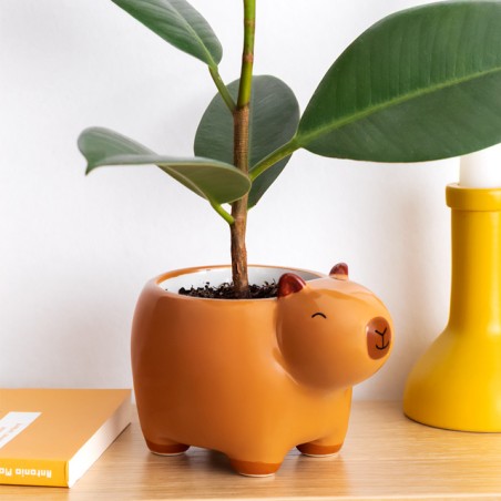 Planter - Capybara
