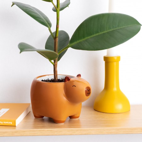 Planter - Capybara