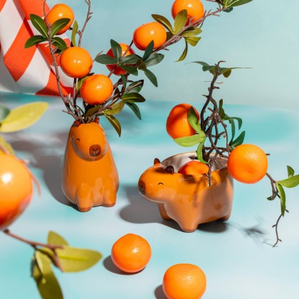 Cache-pot - Capybara