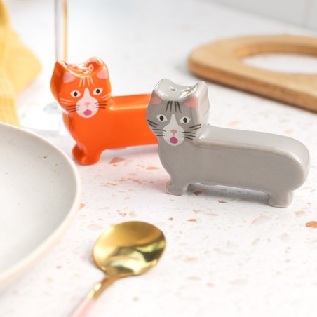 Sel et poivre Chat (Fluid Market X Thomas Gravereau)