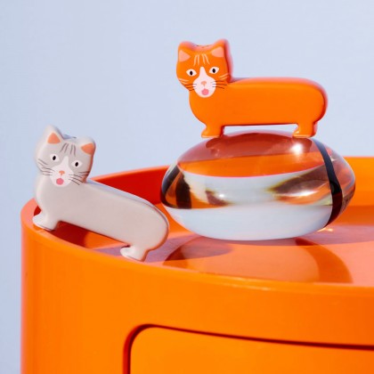 Salière et poivrière - Chatons