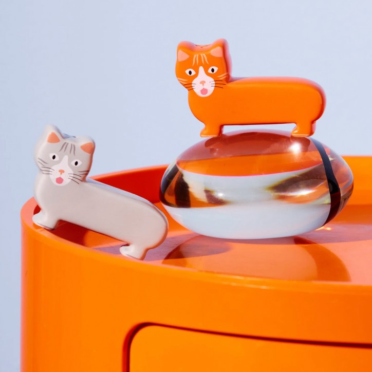 Sel et poivre Chatons -  Fluid Market  Thomas Gravereau