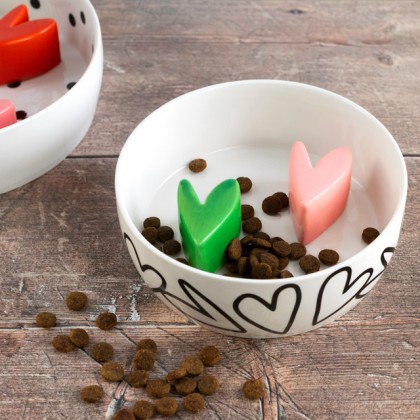 Gamelle alimentation lente - Small hearts - Anti-glouton