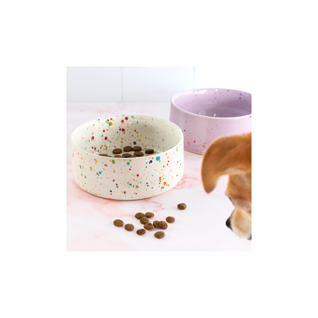 Set de gamelles chat ou chien - New party confetti