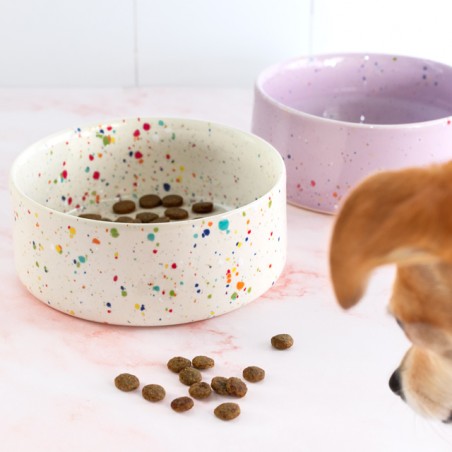 Set de gamelles chat ou chien - New party confetti