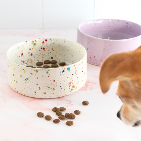 Set de gamelles chat ou chien - New party confetti