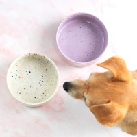 Set de gamelles chat ou chien - New party confetti - 14cm Egg back home