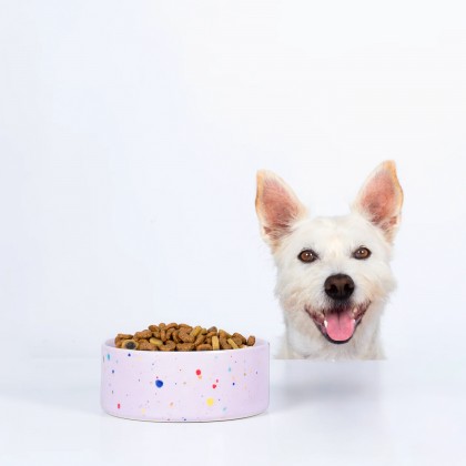 Set de gamelles chat ou chien - New party confetti