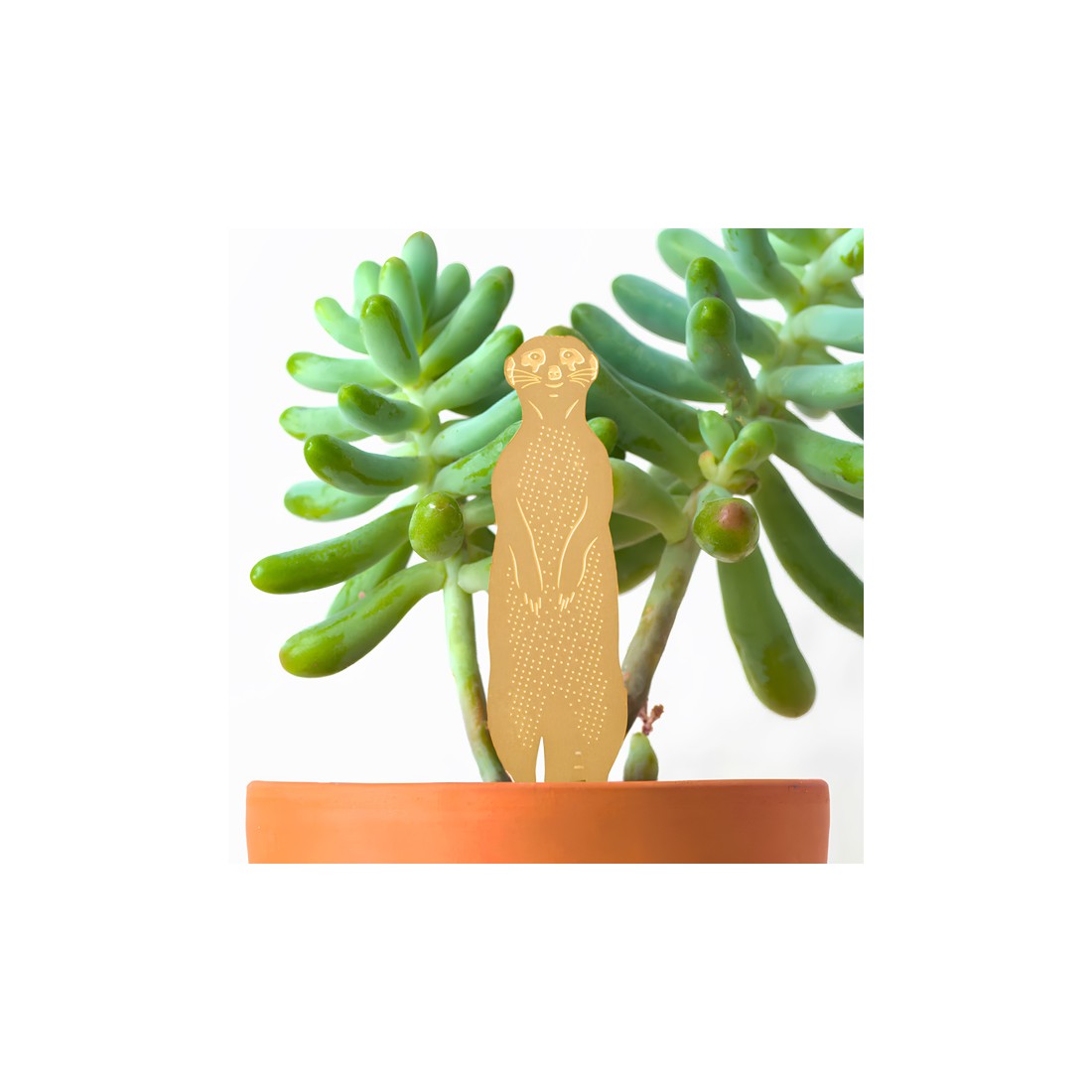 Mini déco pour plantes - Plant animals (suricate)
