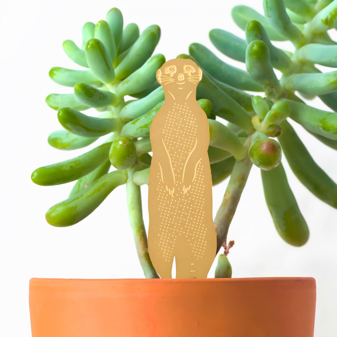 Mini déco pour plantes - Plant animals (suricate)
