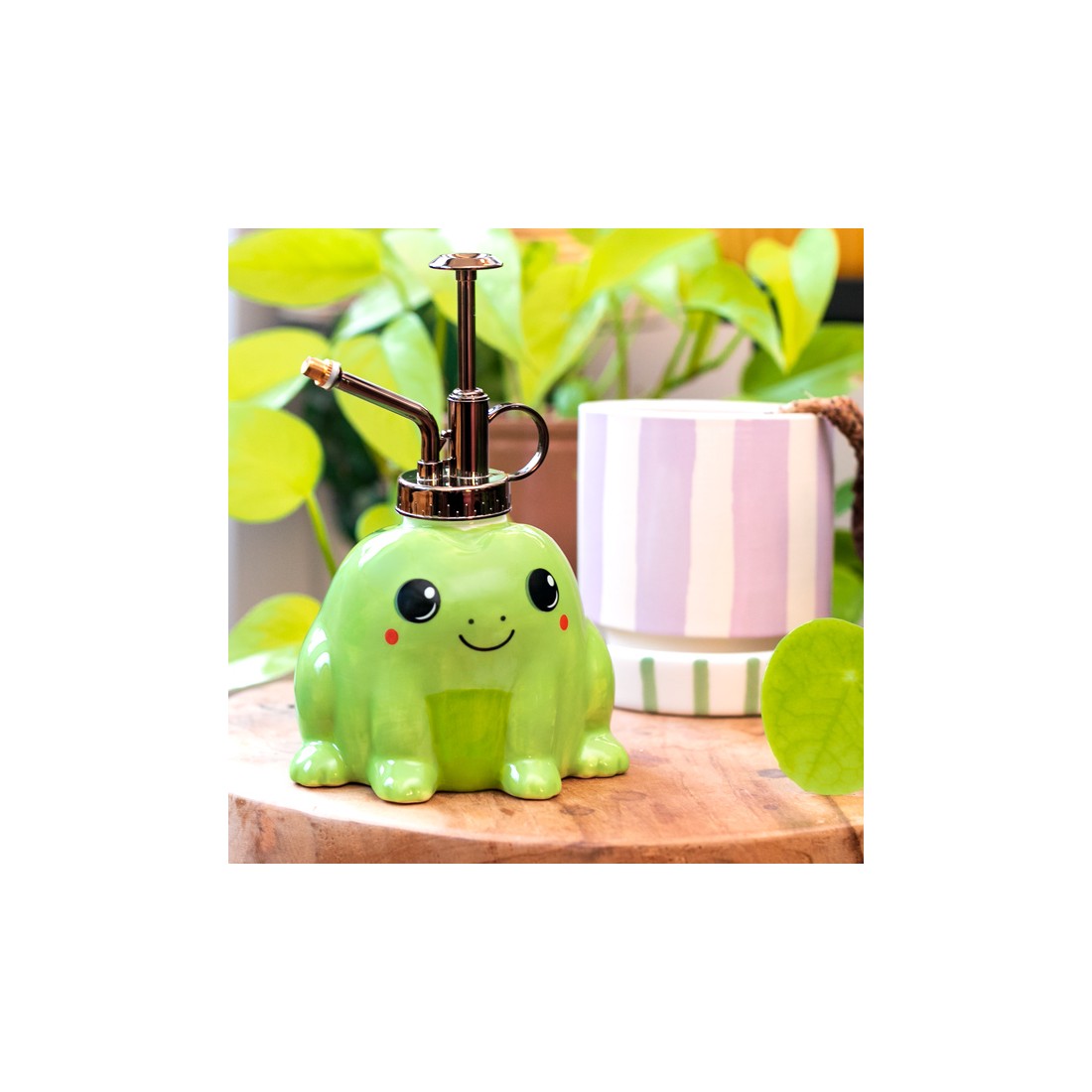 Brumisateur en céramique - Grenouille