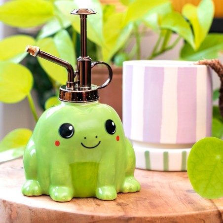 Brumisateur en céramique - Grenouille