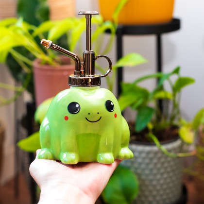 Brumisateur en céramique - Grenouille
