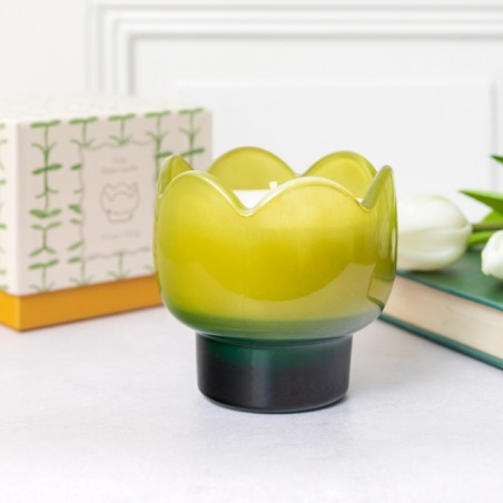 Bougie parfumée Tulip - Verbena & lemongrass - Paddywax