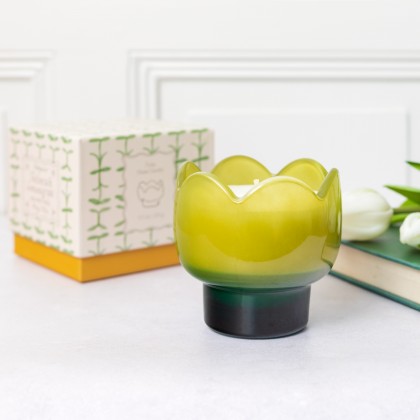 Bougie parfumée Tulip - Verbena et lemongrass