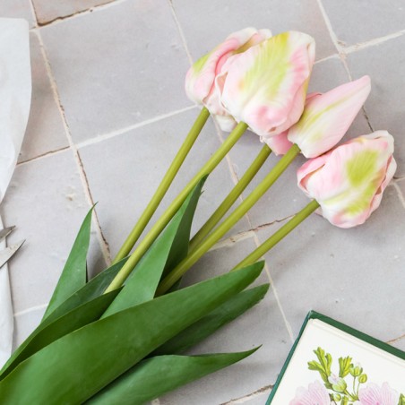 Bouquet de 5 tulipes réalistes - Longues tiges - Rose pâle