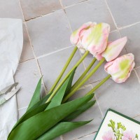 Bouquet de 5 tulipes réalistes - Longues tiges - Rose pâle