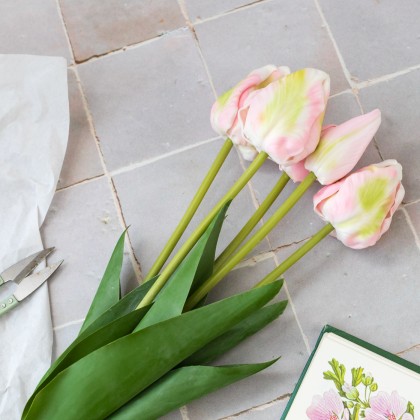 Bouquet de 5 tulipes réalistes - Longues tiges - Rose pâle