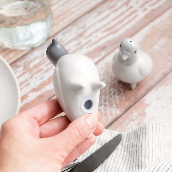 Salière et poivrière - Pigeons