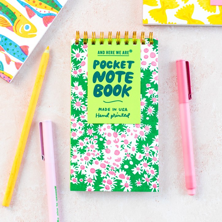 Carnet de poche - Aster - And here we are