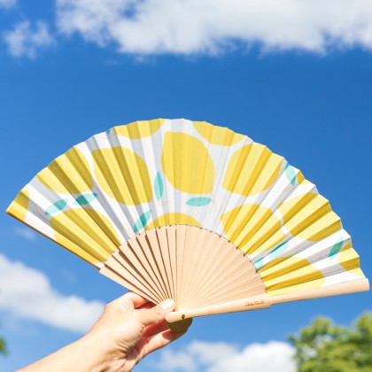 Folding fan - Citrus breeze