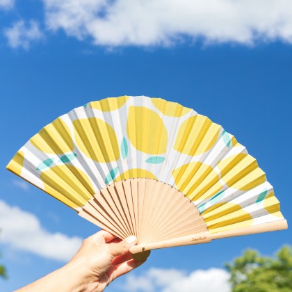 Folding fan - Citrus breeze