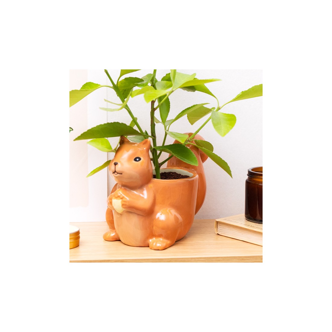 Petit cache-pot - Écureuil