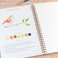 Carnet de peinture à l'aquarelle - Animaux - Emily Lex