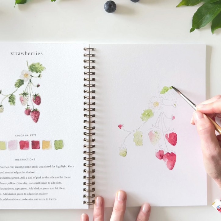 Carnet de peinture à l'aquarelle - Fruits