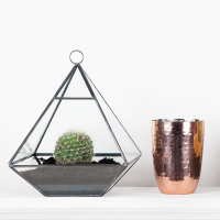 Black pyramid terrarium
