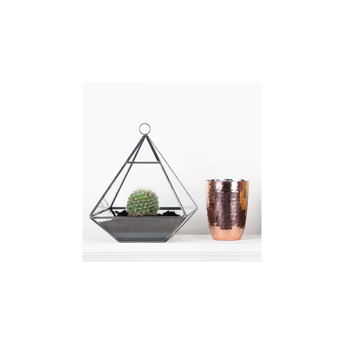 Black pyramid terrarium