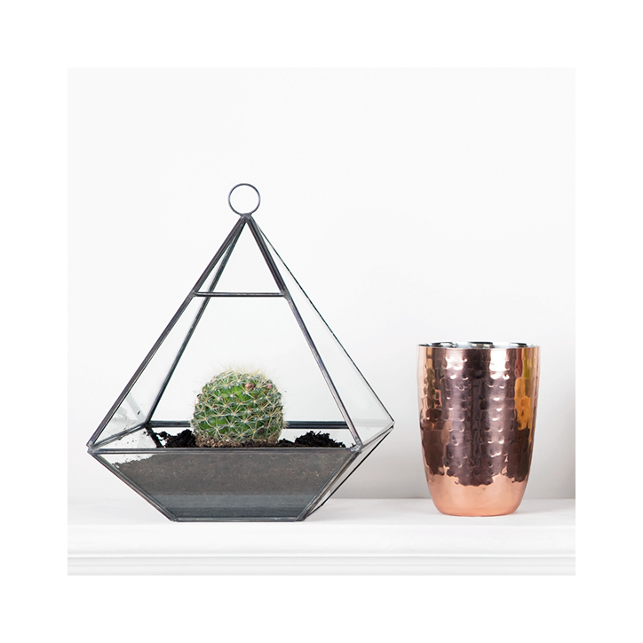 Black pyramid terrarium
